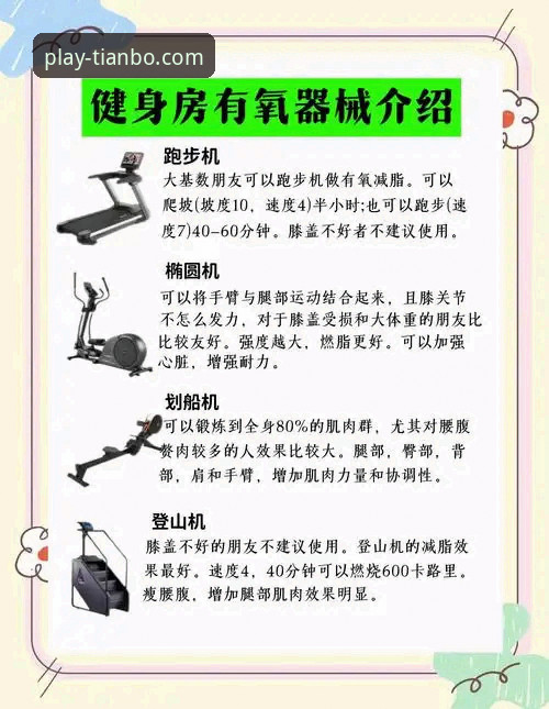 天博体育平台实用指南：客户端推荐与高效操作必备知识