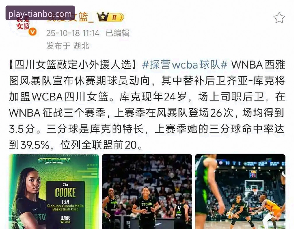 天博体育官网精彩赛事 四川女篮总决赛G1大胜背后:三外援体系与数据洞察的全面解析